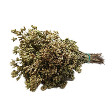 Sicilian Wild Dried Oregano in Bunch 40/50g